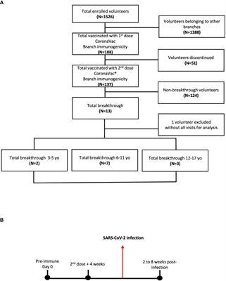 Immune responses during COVID-19 breakthrough cases in vaccinated children and adolescents